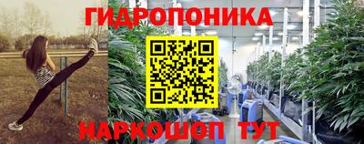 дурь Кингисепп